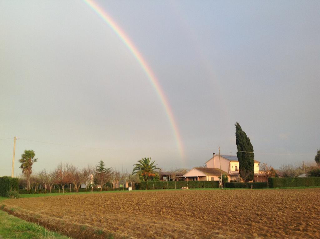 Agriturismo Al Vermigliano アルベレーゼ エクステリア 写真